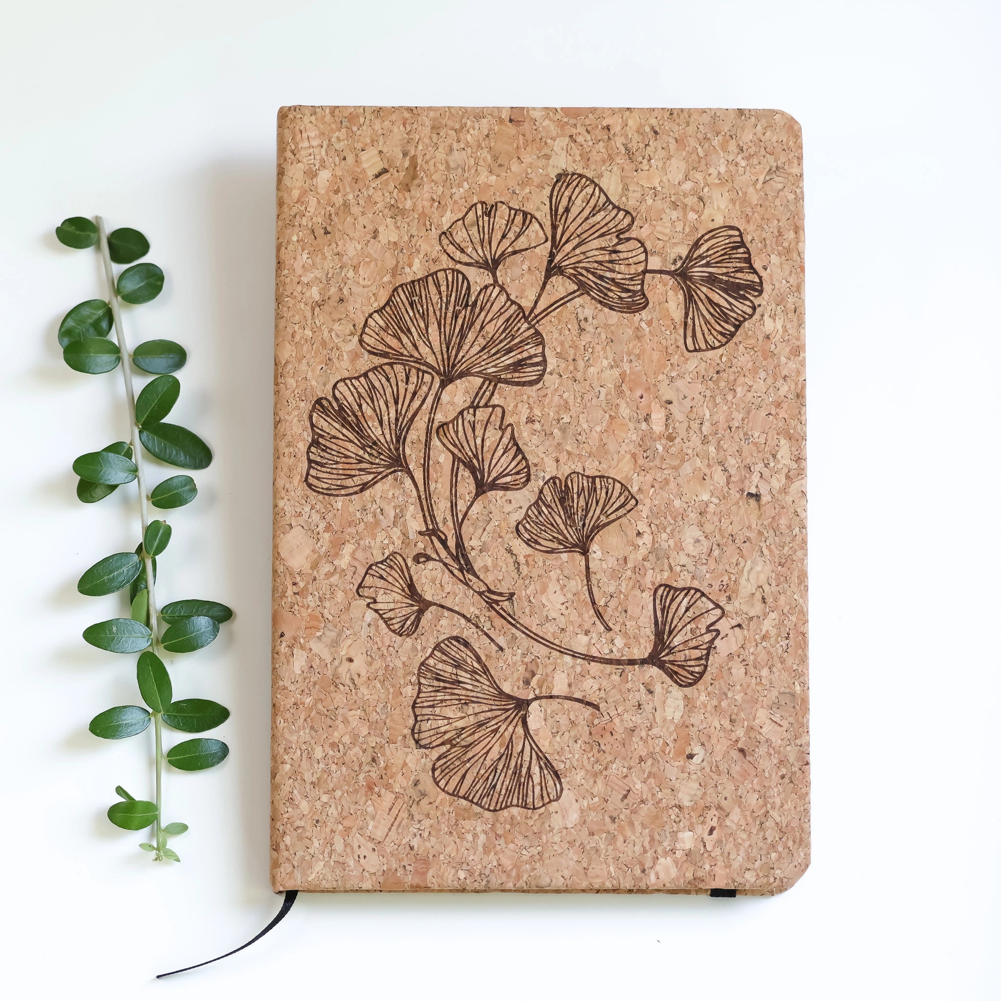Ginkgo