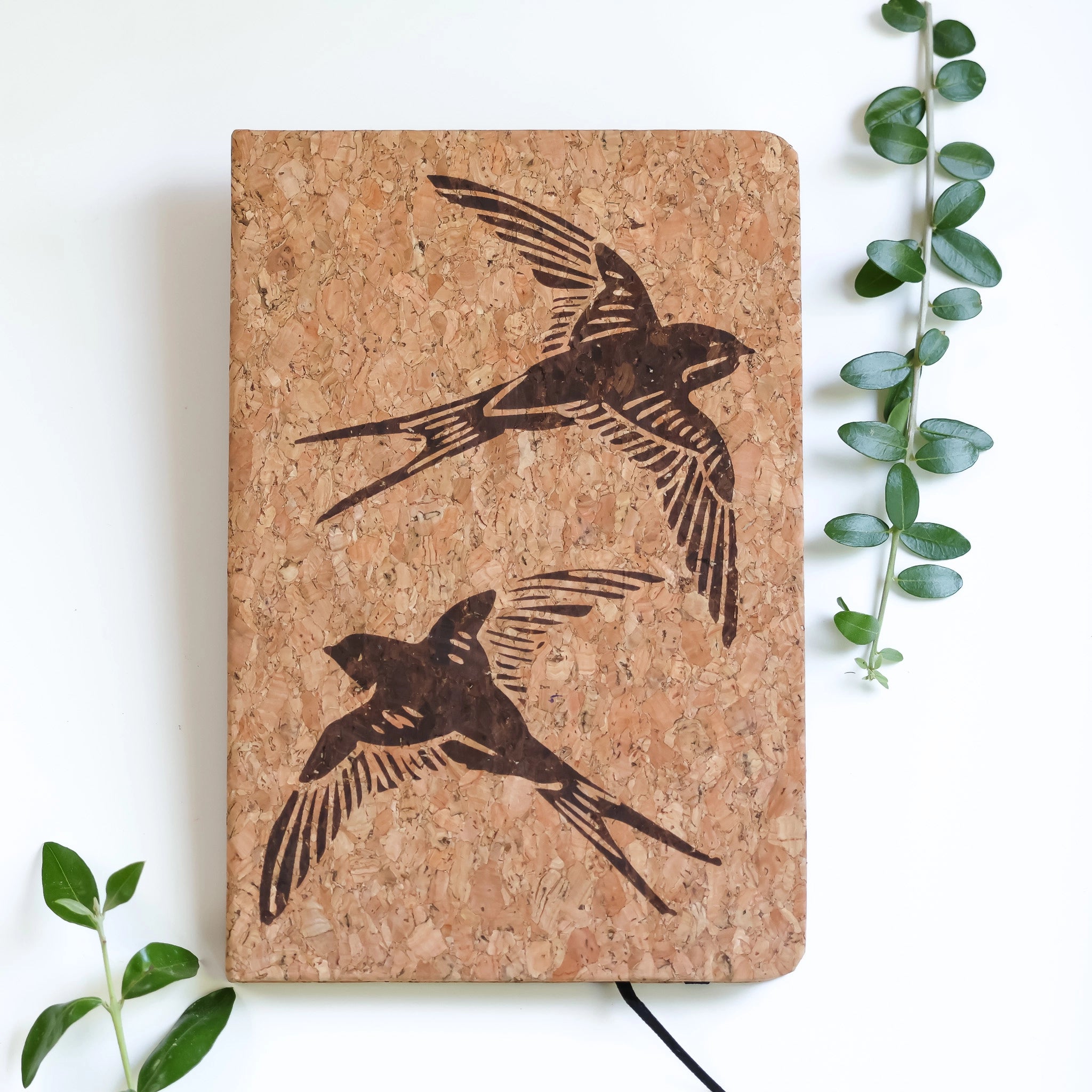 Swallows