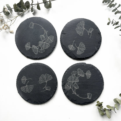 Ginkgos
