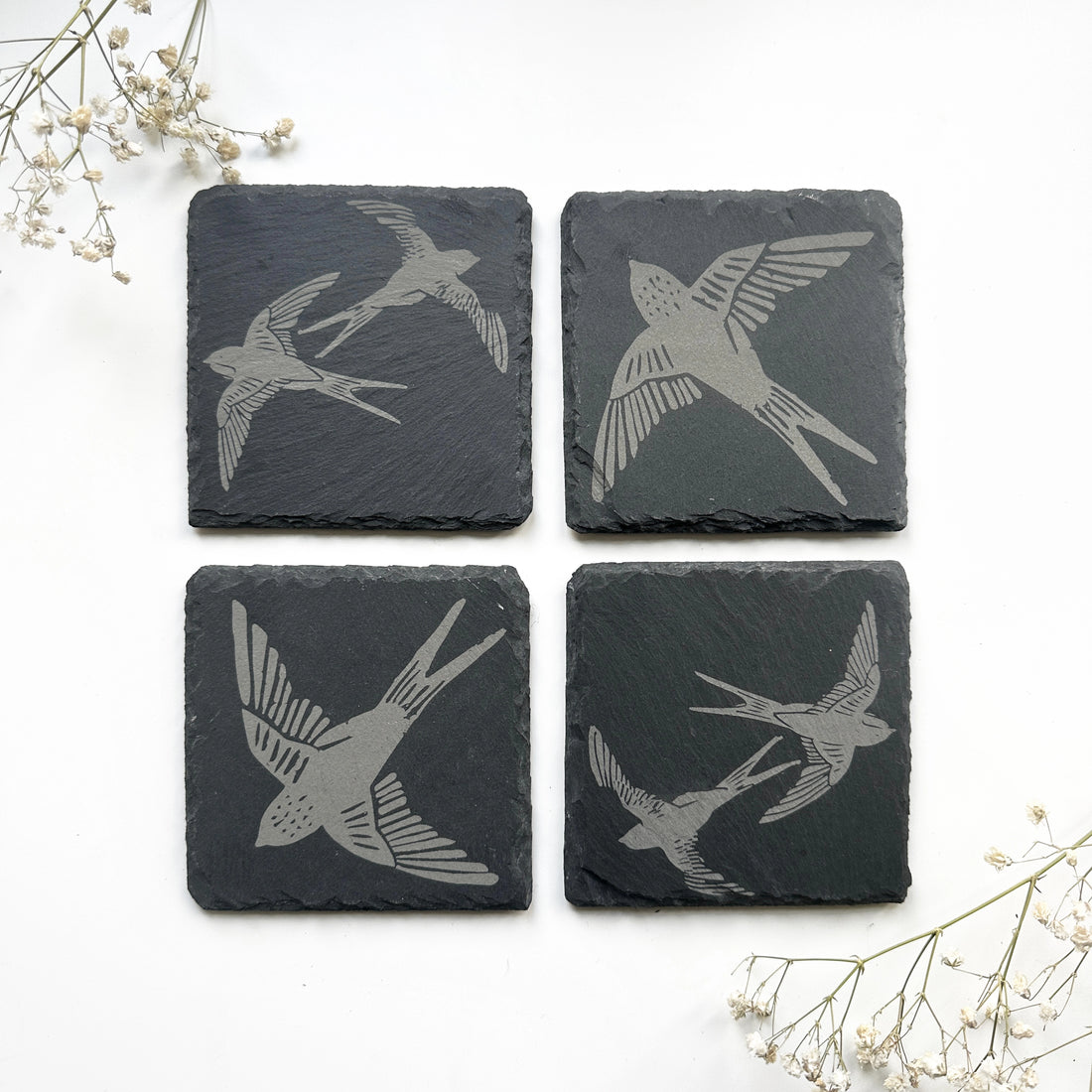 Swallows