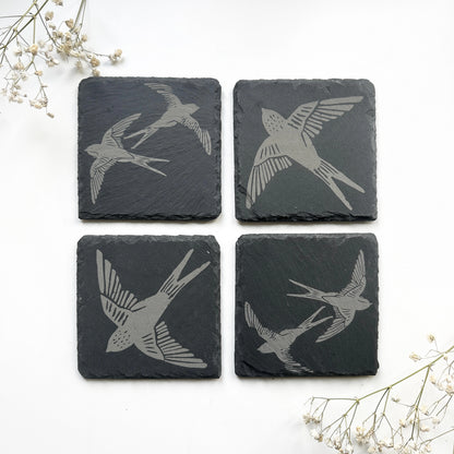 Swallows